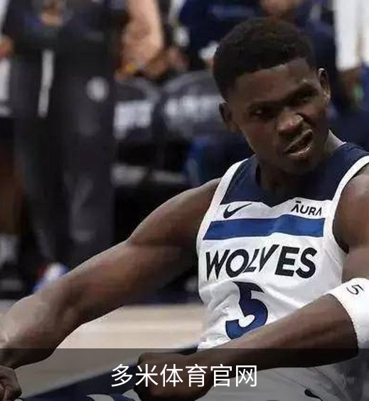 多米体育官网简介